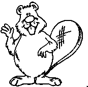 coloriage castor qui fait coucou